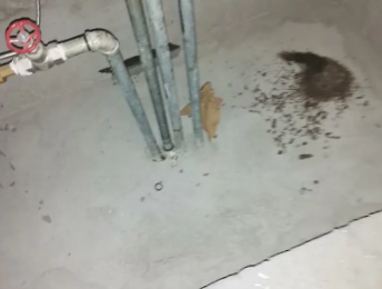 晋宁卫生间测漏水价格明细