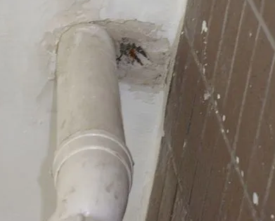 晋宁漏水检测哪家好